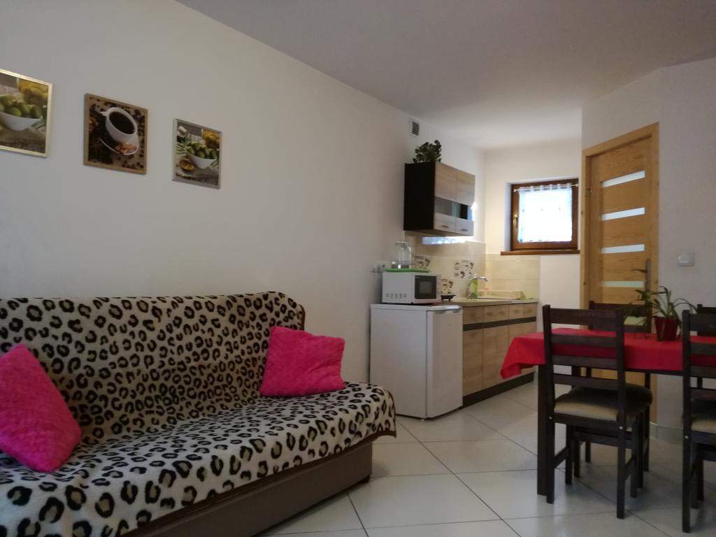 Apartamenty U Samkow Zakopane Buitenkant foto