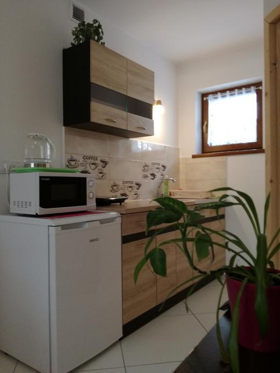 Apartamenty U Samkow Zakopane Buitenkant foto